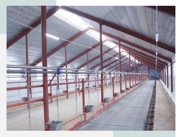 Строительство коровников в Сасово от 606 руб.