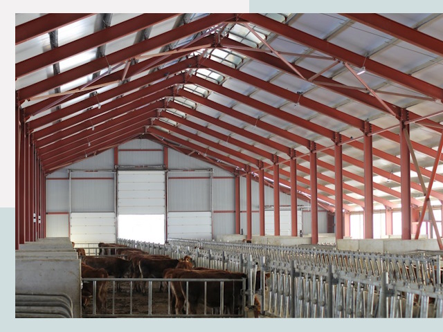 Строительство коровников в Сасово