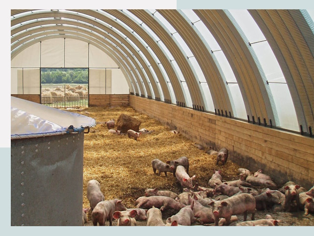 Строительство свинарников в Сасово