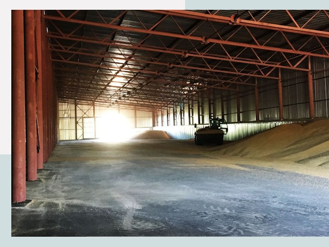 Строительство зернохранилищ в Сасово