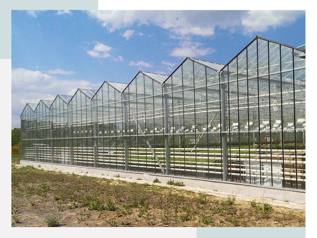 Строительство теплиц в Сасово от 606 руб. за м²