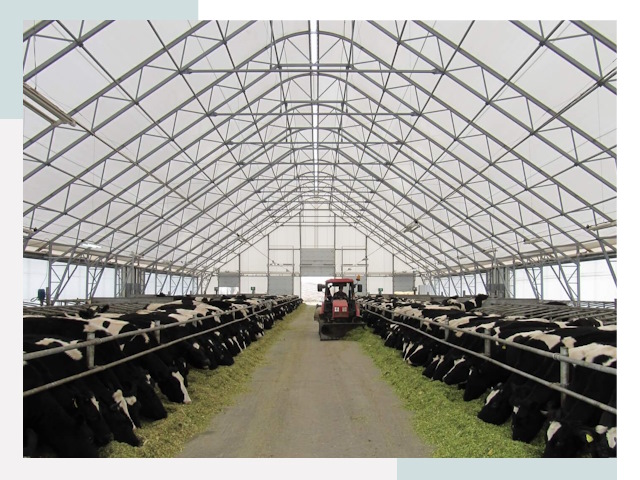 Тентовые коровники в Сасово от 606 руб. - Надежно и доступно