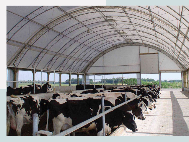 Тентовые коровники в Сасово